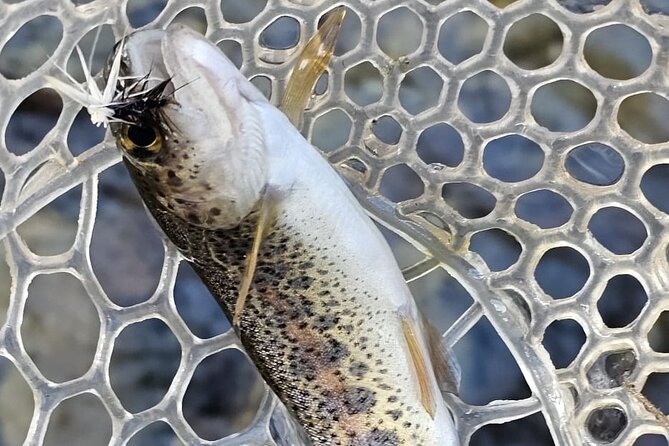 From Catania, Syracuse and Taormina: fly fishing experience - Who this fly fishing day is best for