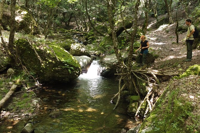 From Catania, Syracuse and Taormina: fly fishing experience - Appennino Siculo: where the day feels wild and unhurried