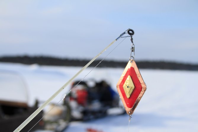 From Ivalo: Ice Fishing Safari to Lake Inari, reindeers & lunch - Reindeer on the island: a soft landing after the ice