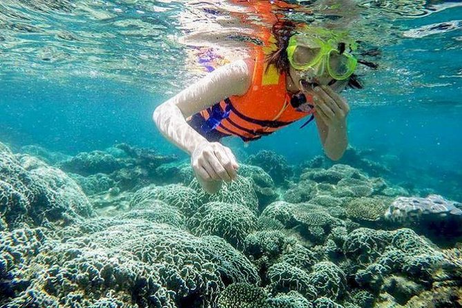 From Mui Ne To Vinh Hy Bay Snorkeling And Fishing Tour | Day Trip - Vinh Hy Bay is the main event, and yes, it takes time