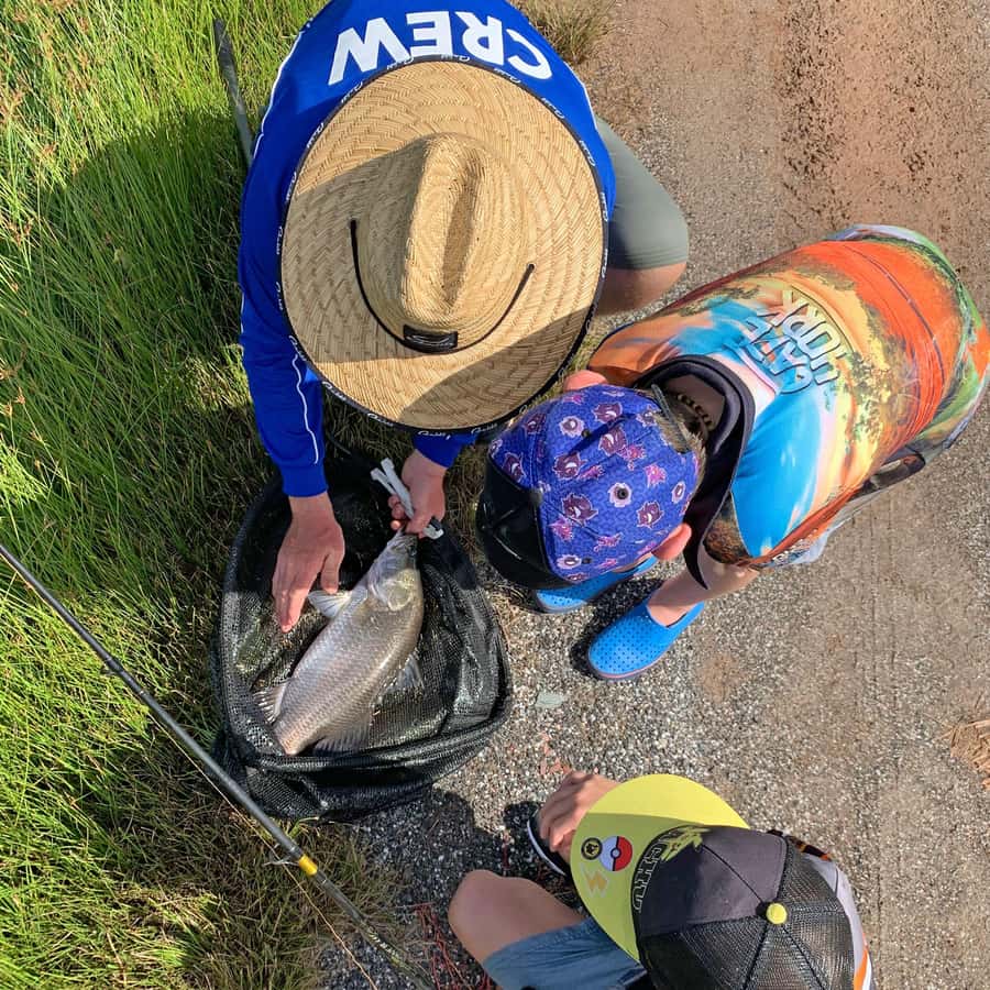 From Port Douglas: Barramundi Pond Fishing with Lunch - Key Things You’ll Notice at Hook-A-Barra