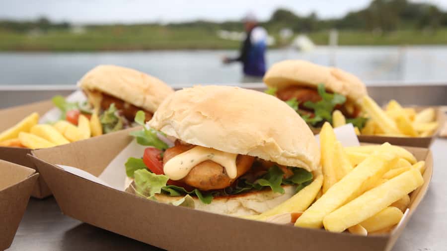 From Port Douglas: Barramundi Pond Fishing with Lunch - Farm Tour First: Understanding Barra Before You Cast