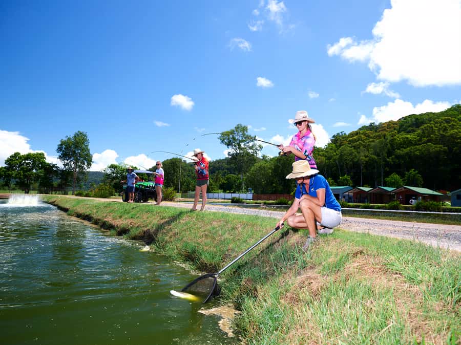 From Port Douglas: Barramundi Pond Fishing with Lunch - Lunch: Paddock to Plate After the Fish Fight