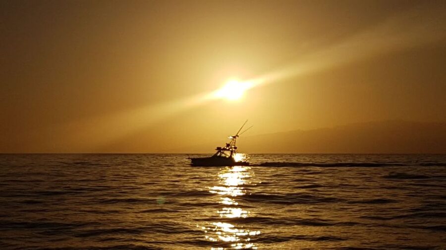From Puerto Colón: Private Fishing Boat Charter with Lunch - Why Puerto Colón feels better than fishing from Las Américas