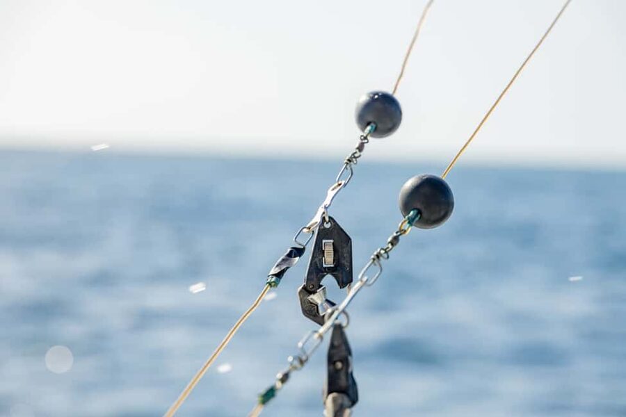 From Punta Cana: Deep Sea Fishing Tour by Boat with Drinks - Getting on the Boat: Pickup Timing, Sign Check, and Meeting Points