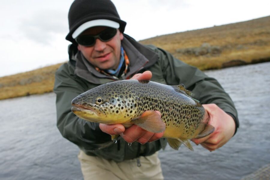 From Reykjavik: Lake and River Fishing Tour - A Reykjavik Fishing Day That Starts in Thingvellir