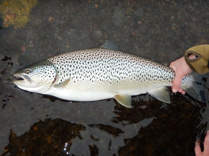 From Reykjavik: Lake and River Fishing Tour - What to Wear: Wind, Rain, and Staying Functional