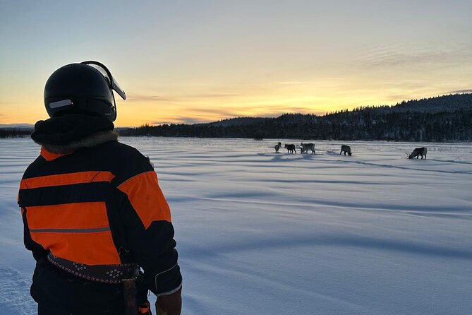 From Saariselkä: Ice Fishing Tour to Lake Inari, reindeers &lunch - Logistics that matter: pickup, timing, and mobile tickets