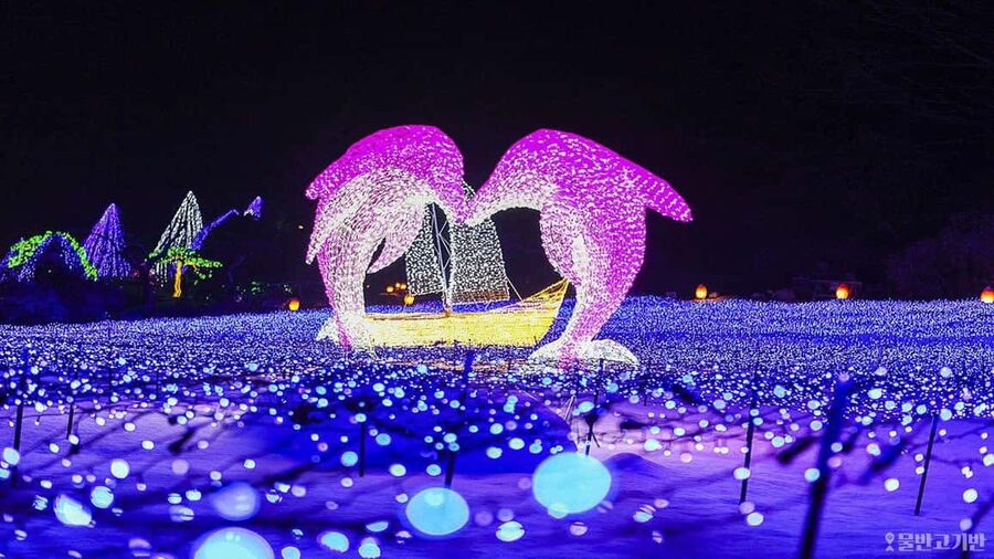 From Seoul: Hwacheon Ice Fishing and Lighting Festival Tour - Key points to know before you go