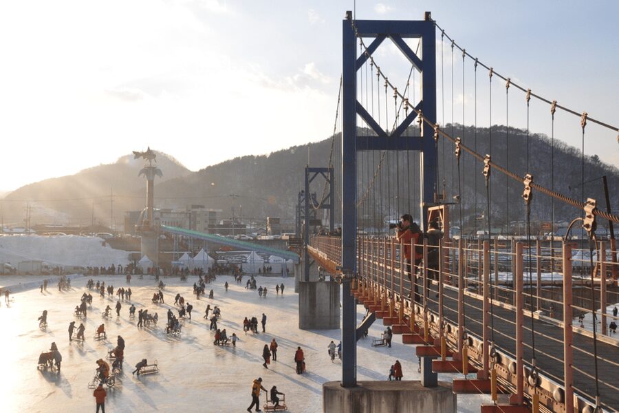 From Seoul: Hwacheon Ice Fishing and Lighting Festival Tour - Who should book this tour (and who might want a different plan)