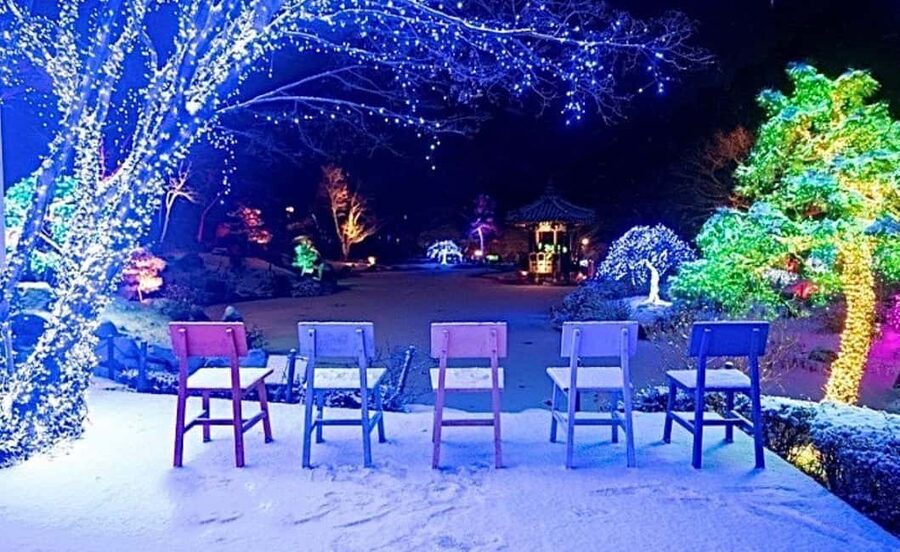 From Seoul: Hwacheon Ice Fishing and Lighting Festival Tour - How this Hwacheon + Morning Calm day trip works in real life