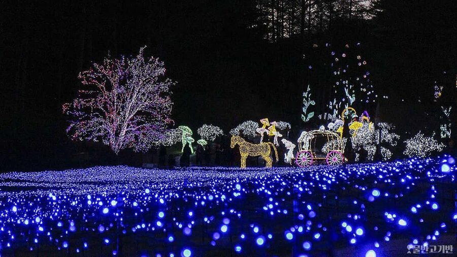 From Seoul: Hwacheon Ice Fishing and Lighting Festival Tour - The long ride to Hwacheon: why timing matters