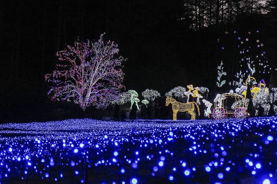 From Seoul: Hwacheon Ice Fishing and Lighting Festival Tour - Hwacheon Sancheoneo Ice Festival: ice fishing and winter rides