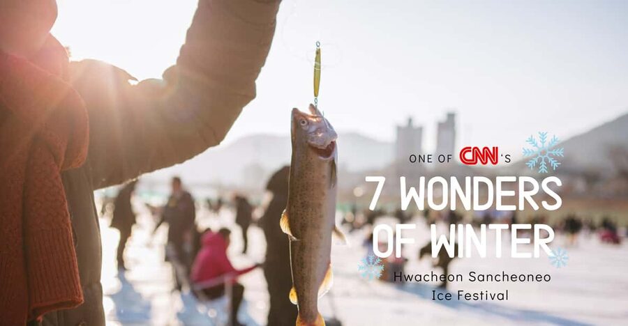 From Seoul: Hwacheon Ice Fishing and Lighting Festival Tour - What to eat and photograph at Hwacheon (without freezing your fingers off)