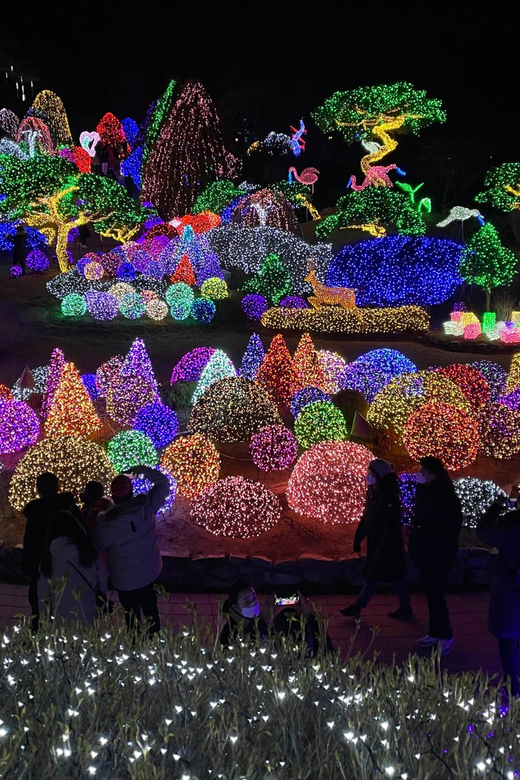 From Seoul: Hwacheon Ice Fishing and Lighting Festival Tour - How the day changes: from ice-festival energy to the Garden of Morning Calm light walk
