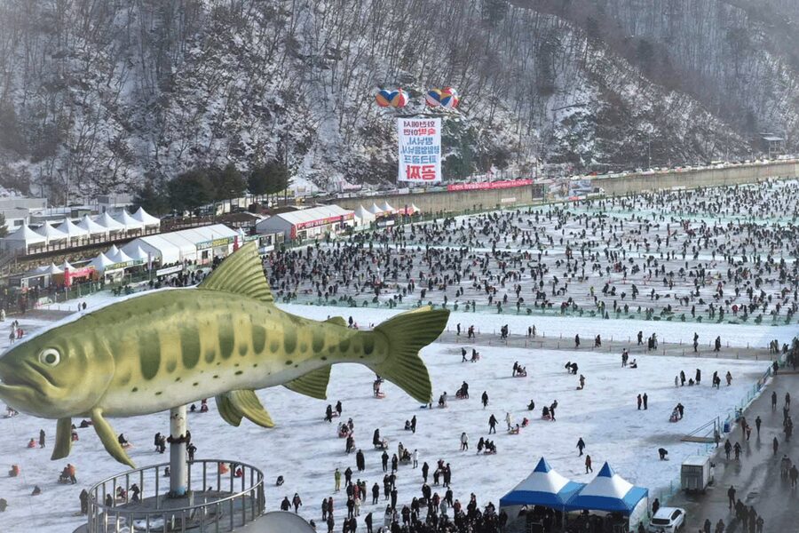 From Seoul: Hwacheon Ice Fishing and Lighting Festival Tour - Garden of Morning Calm at night: light sculptures and that slow winter calm