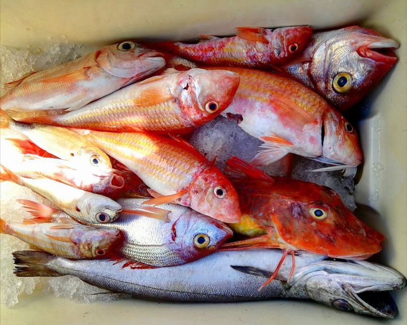 From Sorrento: Fishing in Capri with Lunch - Key highlights you’ll care about