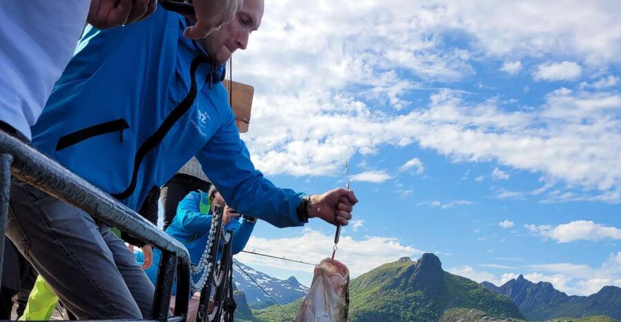 From Svolvaer: Lofoten Fishing Boat Cruise - Key Things to Know Before You Go