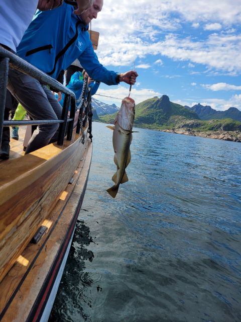 From Svolvaer: Lofoten Fishing Boat Cruise - Svolvær Start: registration, meeting point, and getting geared up fast