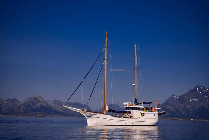 From Svolvær: Taste of Lofoten - Cultural Fishing Experience - Who should book this Lofoten experience (and who might skip it)