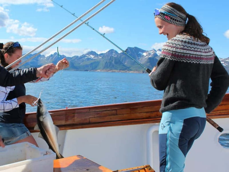 From Svolvær: Taste of Lofoten - Cultural Fishing Experience - Why this Lofoten fishing cruise feels different than a normal tour