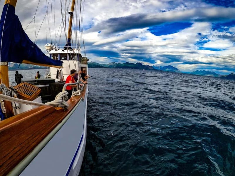 From Svolvær: Taste of Lofoten - Cultural Fishing Experience - Cruise time on Vestfjorden: what the boat ride gives you