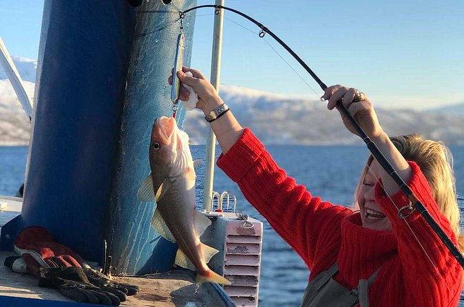 From Tromsø: Polar Fishing Adventure - Cooking onboard: turning your catch into lunch
