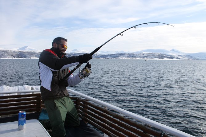 From Tromso: Polar Fishing Adventure - Price and Value at $136 for a 2-Hour Trip