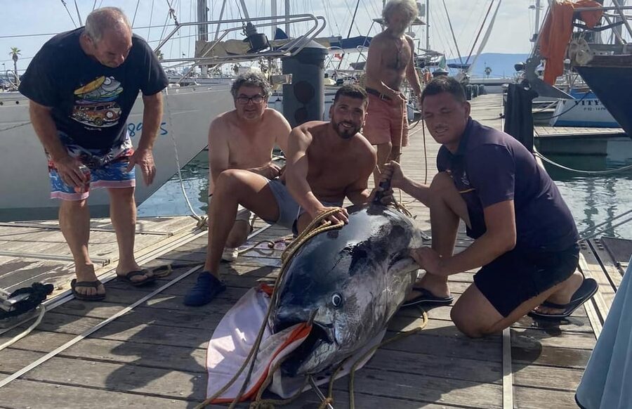 Fuengirola: 4h Trolling Fishing Trip with Snacks and Drinks - Trolling With a Real Crew: What You’ll Do From Start to Finish