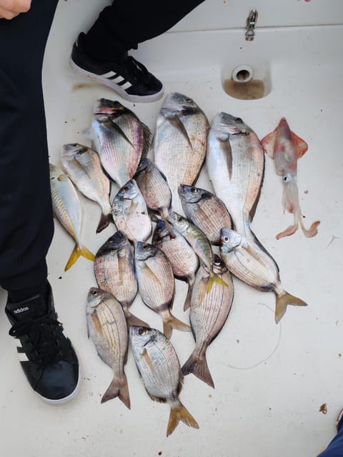 Fuengirola: Bottom Fishing with Jigging and Squid, 2, 4 and 6 hours - Flexibility That Actually Helps: 2, 4, or 6 Hours