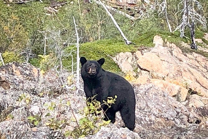 Full Day Canyon fishing trip - Price and Value: What $325 Gets You (and What You Still Need)