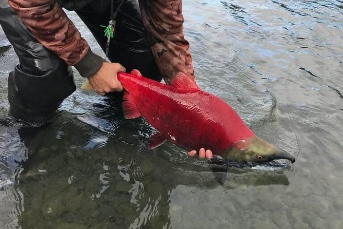 Full day fishing trips - Fly fishing versus spin fishing: choose what fits your style