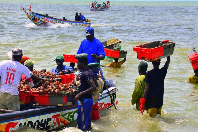Full-Day PINK LAKE and FISHING VILLAGE combination - Morning pickup from Dakar: start comfortable, not rushed