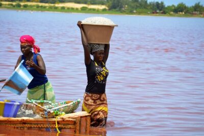 Full-Day PINK LAKE and FISHING VILLAGE combination - Lake Retba (Pink Lake): salt harvest in action