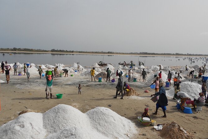 Full-Day PINK LAKE and FISHING VILLAGE combination - Price and logistics: is $250 really a fair value?