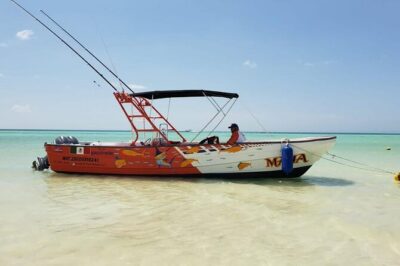 Full Day Private Deep Sea Fishing in Holbox - The Trolling Plan: Why You Go 20–30 Miles Out