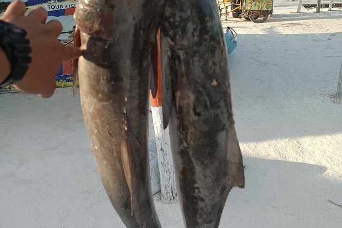 Full Day Private Deep Sea Fishing in Holbox - Who This Tour Fits Best (and Who Might Want Something Else)