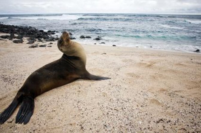 Full Day Tour Pinzon Island + La Fe/Las Palmas - Snorkeling & Fishing - Key Highlights You’ll Actually Care About