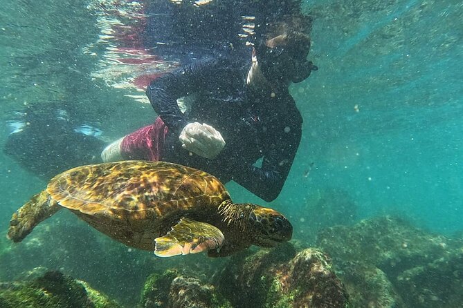 Full Day Tour Pinzon Island + La Fe/Las Palmas - Snorkeling & Fishing - Pinzón Island Snorkeling: the reason this day trip gets booked early