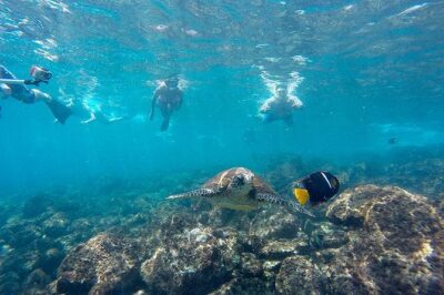 Full Day Tour Pinzon Island + La Fe/Las Palmas - Snorkeling & Fishing - The boat ride to Pinzón and what you’ll notice when you get there