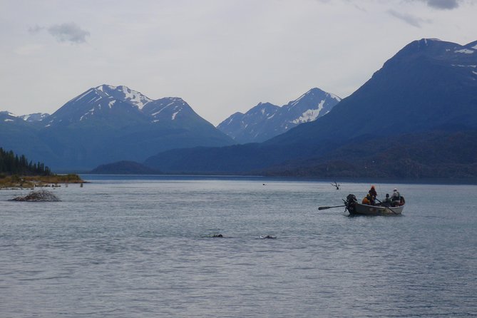 Full-Day Upper Kenai River Guided Fishing Trip - Who This Trip Suits Best
