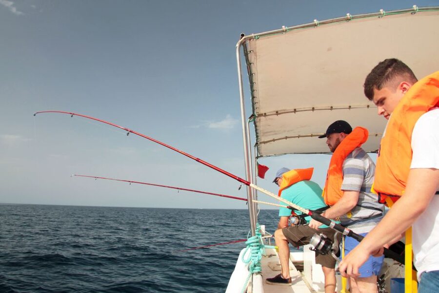 Fuzeta: 2.5-Hour Sport Fishing Tour - Getting to the Water: meeting near the fishing harbour