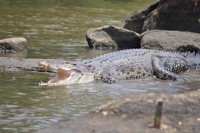 Galle Day Tour: Boat Safari, Dutch Fort, Stick Fishing & Turtles - Galle Dutch Fort: your best walking time of the day