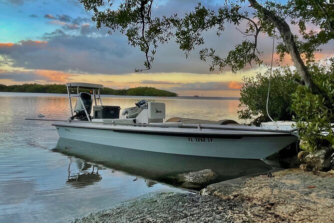 Golden Glare Fishing Charter with Experienced Captain - Tarpon Lesson First, Then You Fish: Capt Dan’s Coaching Approach