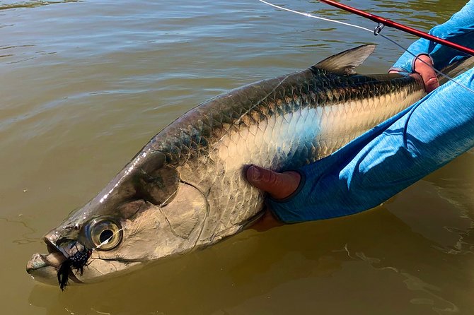 Golden Glare Fishing Charter with Experienced Captain - Gear, Bait, and Fish Cleaning Included: Better Value Than It Looks