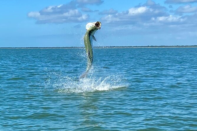 Golden Glare Fishing Charter with Experienced Captain - Timing and Group Size: Why the 8-Hour Format Fits Real Schedules
