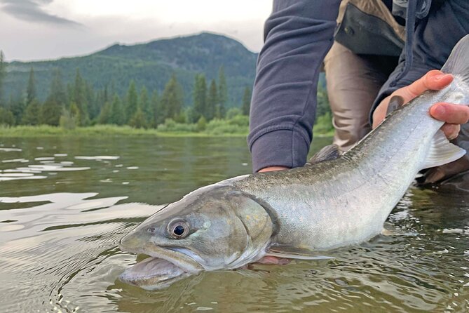 Guided Fishing Adventure in Whistler - Trekking, cold water, and what to wear (without turning it into a gear hunt)