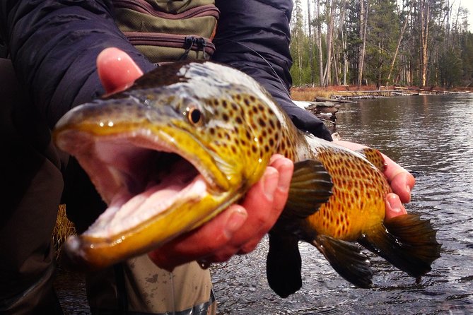 Guided Fishing Trip in Jackson Hole - Itinerary Reality: Multiple Waters, One Day Focused on Trout