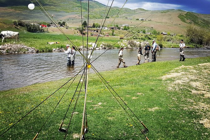 Guided Fly Fishing Experience in Park City - What It Feels Like on the River: Bites, Line Control, and Catch-and-Release