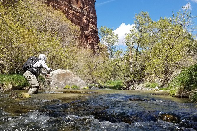 Guided Fly Fishing Experience in Park City - Transport, Photos, and That Extra “Guide Effort” Feeling